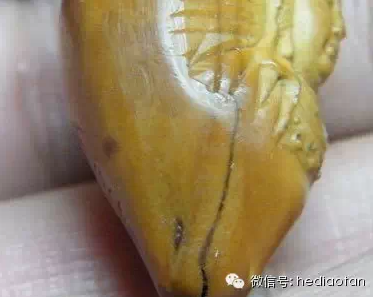 橄榄核雕养护“三防”经 开裂核雕